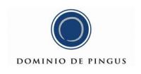 Dominio de Pingus - Sarment Sea Wine