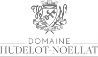Hudelot-Noëllat - Sarment Sea Wine